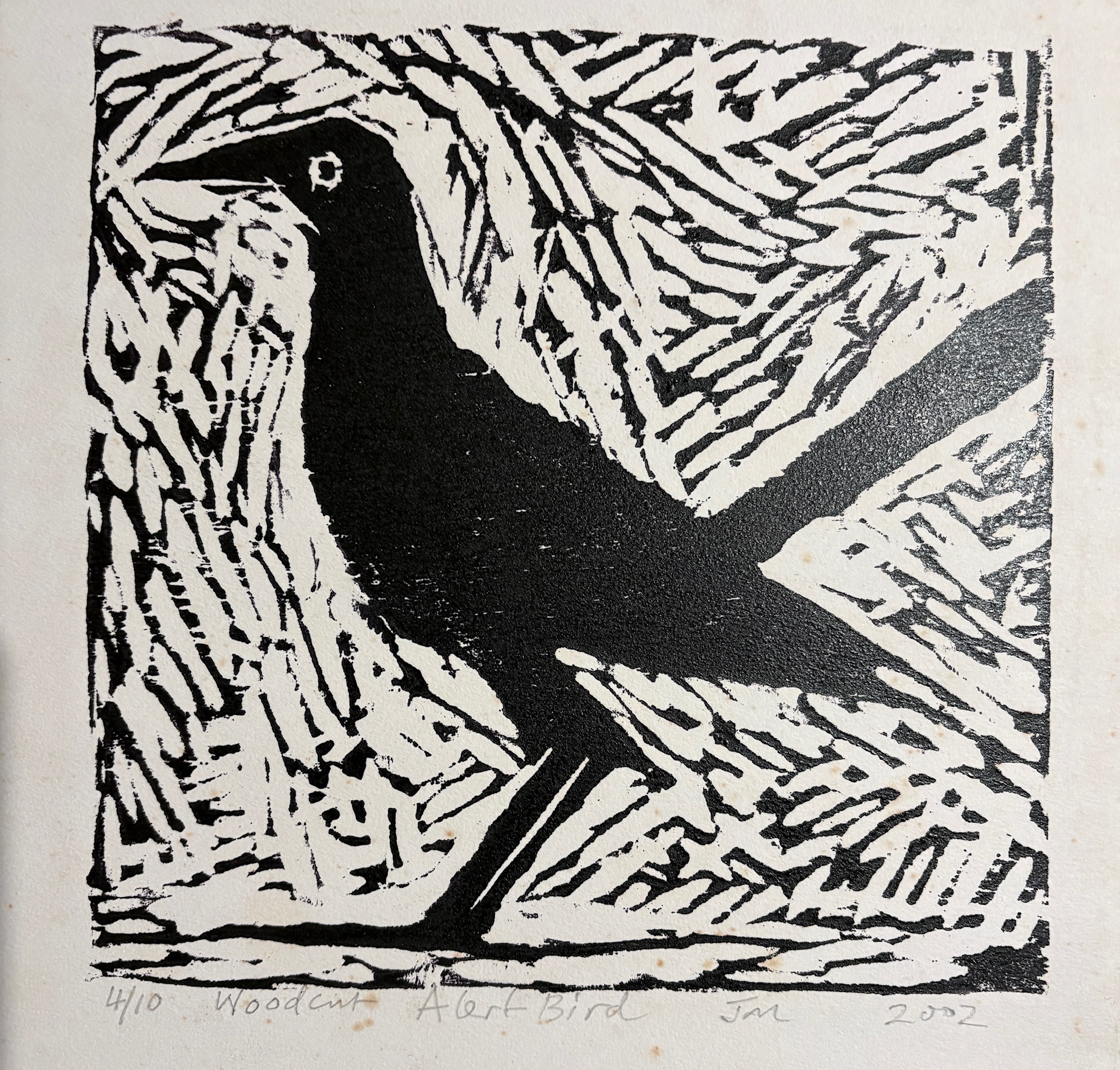 Alert Bird